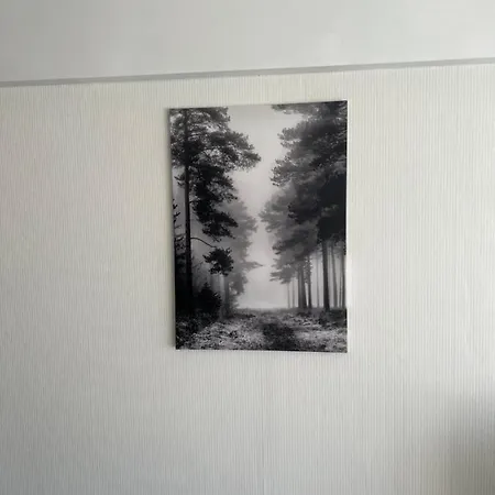 Lappland Kemiapartments Iii Near Snowcastle, 2 , Kitchen , Glazed Balcony, Free Private Parking Διαμέρισμα